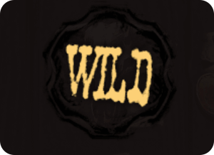 símbolo wild