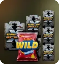 no limit city xsplit wilds