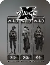 xnudge wilds nolimit city