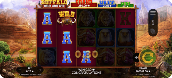 buffalo power playson